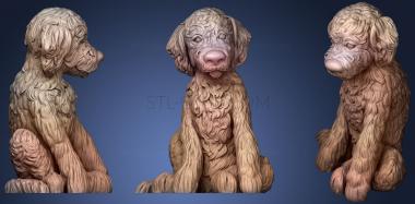 3D model Labradoodle Puppy (STL)